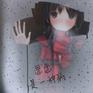 笨蛋爱你