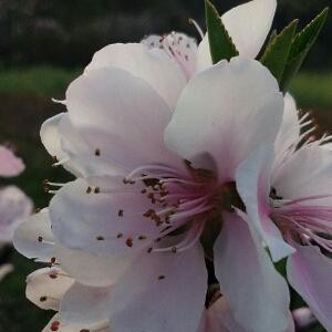 小富1368