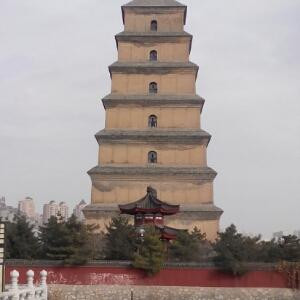 旺旺