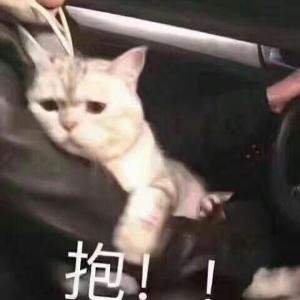 旧城旧梦旧余温