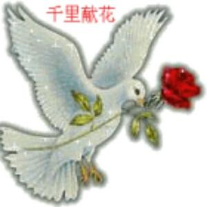 i474095216浮云