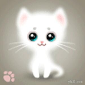 一抹灿烂的阳光