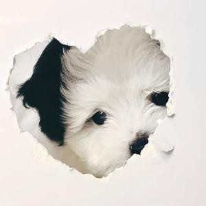 闵小馒