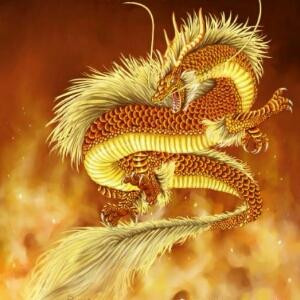 小马天下