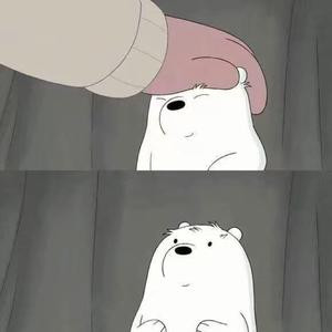 名叫冬菇的猫