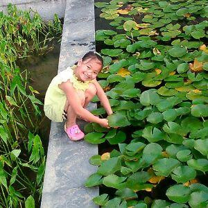 水莹芹姗