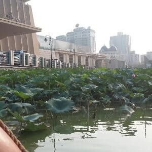 去年