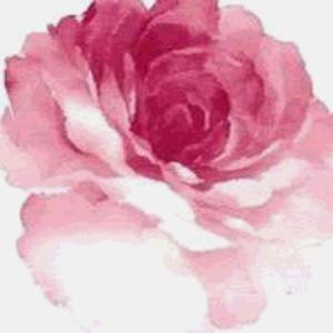 葵花