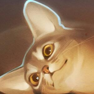 喝牛奶的猫
