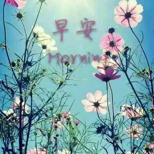 爱尚书屋