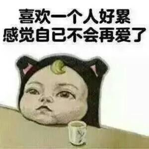 晓丽