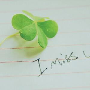 樱花落尽心已沫