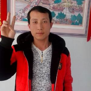 紫枫