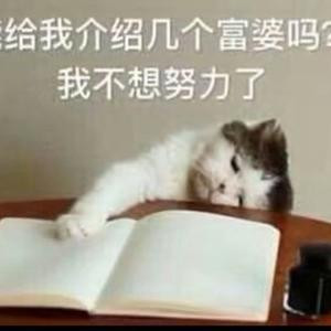 心上秋
