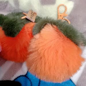 樱花落尽泪已下