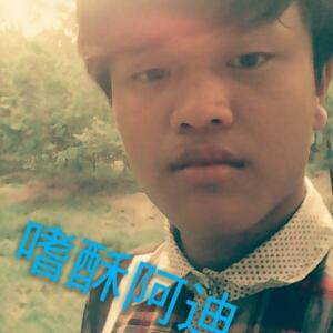 嗜酥阿迪