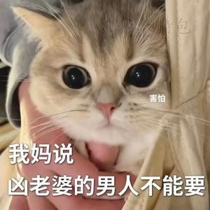 小迷妹