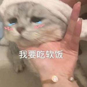 喵酱