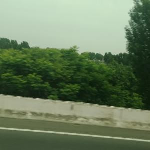 静心