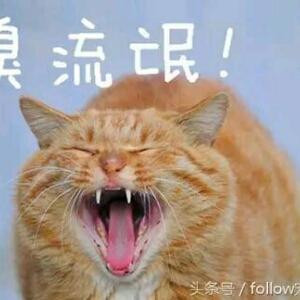 人生得意须尽欢