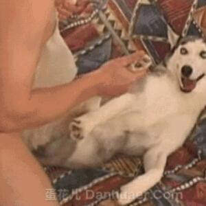 康康