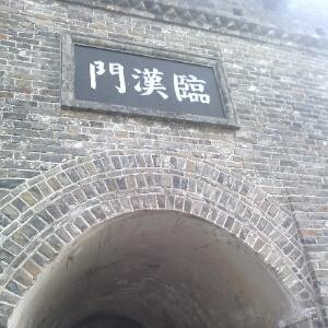 无情有忧