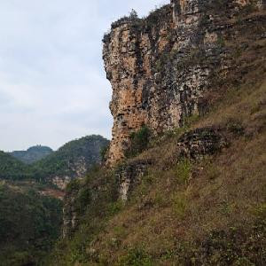 阿林