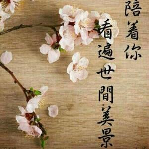 倾采