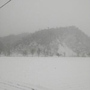 小墨迹