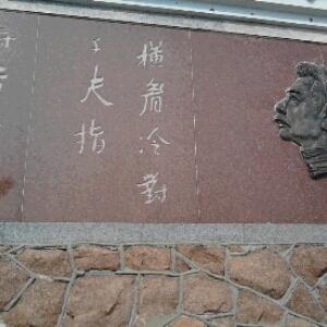 看书看世界