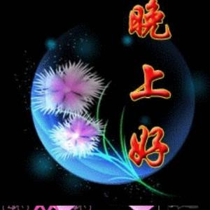看看书啊