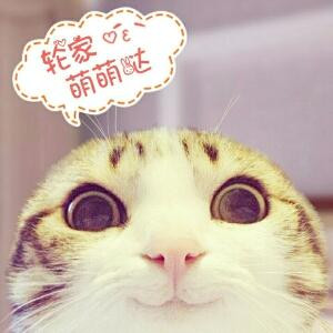 云儿