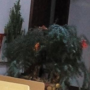 黑夜一无所有