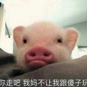 两耳就是菩提