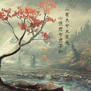 星死