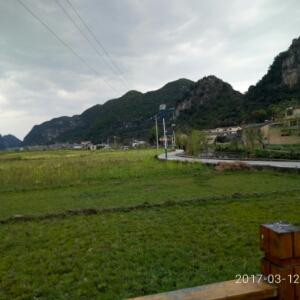小龙