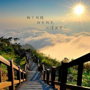 伊人回眸泪倾城