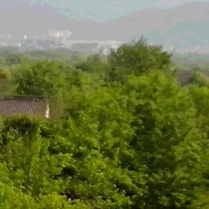 爷们