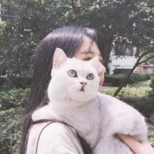 佛系少女啊