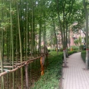 无暇SQ