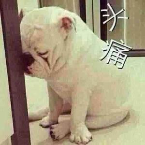 高O_o大学问
