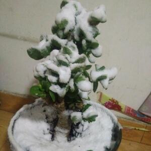 爱哭鼻子的他们