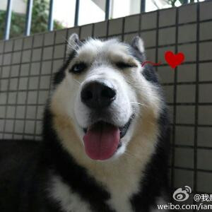 辉宝