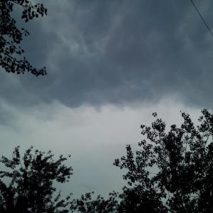 自称吃货的饭桶