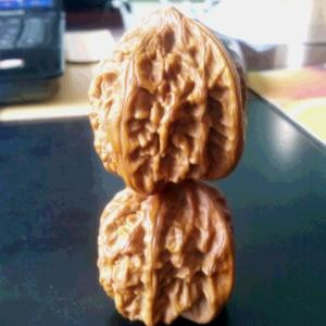 搓苞米讲瞎话