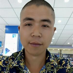 爱上狐狸的熊