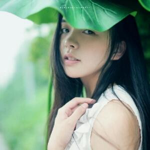 落桐