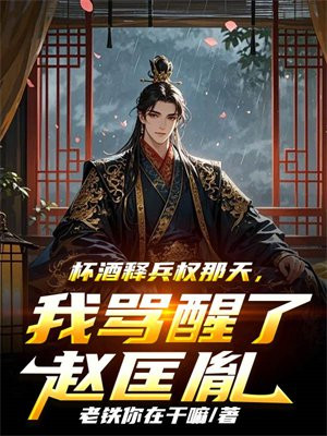 杯酒释兵权那天，我骂醒了赵匡胤