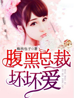 腹黑总裁坏坏爱