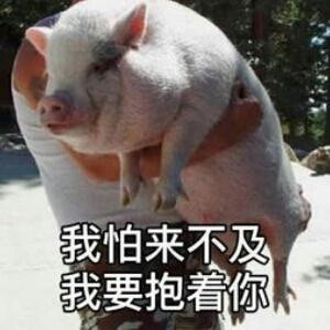 阿哈哈哈哈
